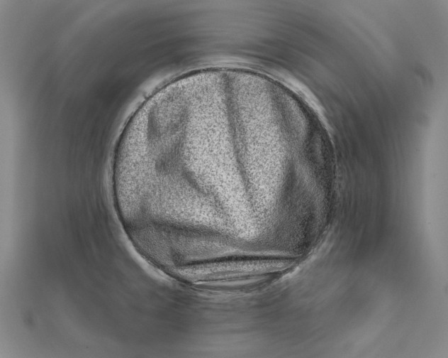 X0000112061429200908251010