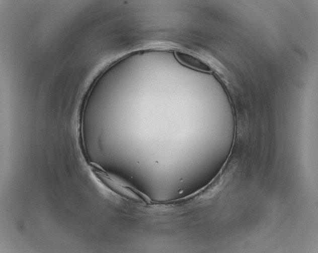 X0000112061430200908251010