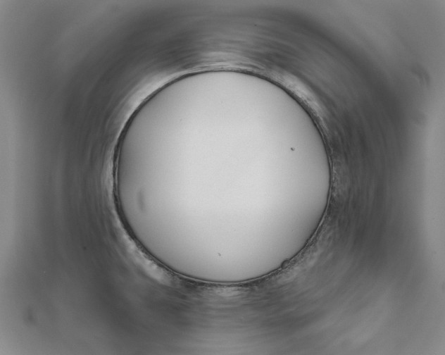 X0000112061431200908251011