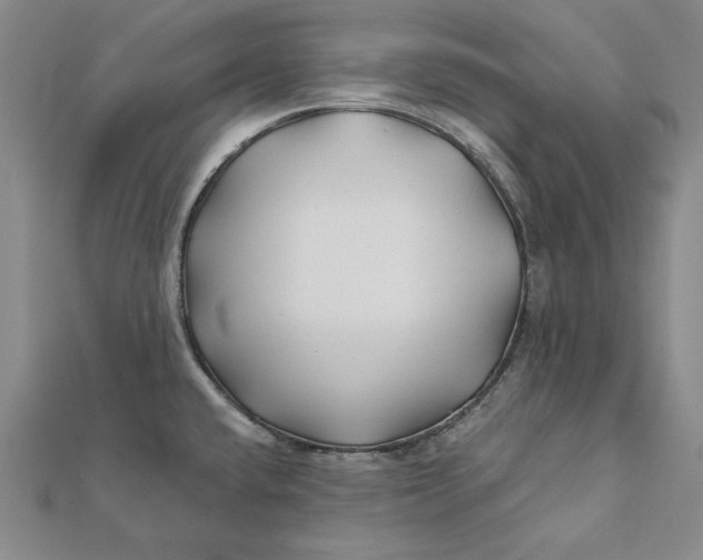 X0000112061432200908251011