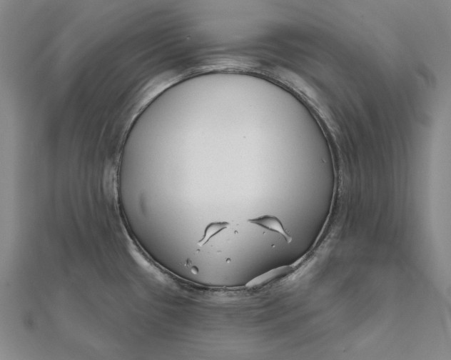 X0000112061433200908251011