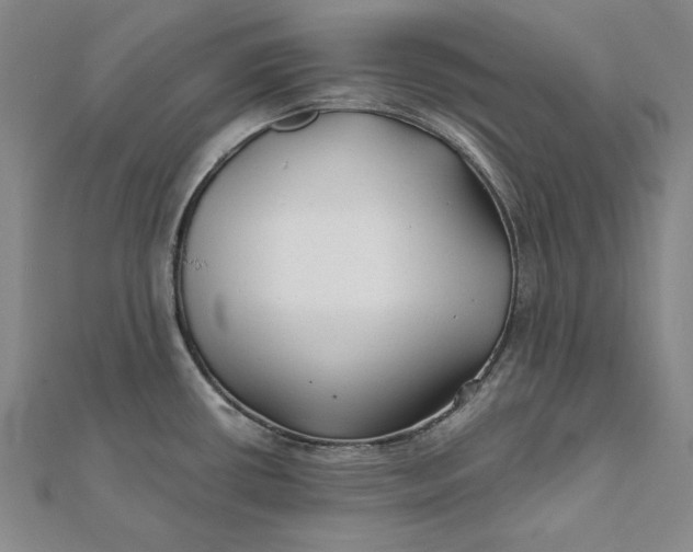 X0000112061434200908251011