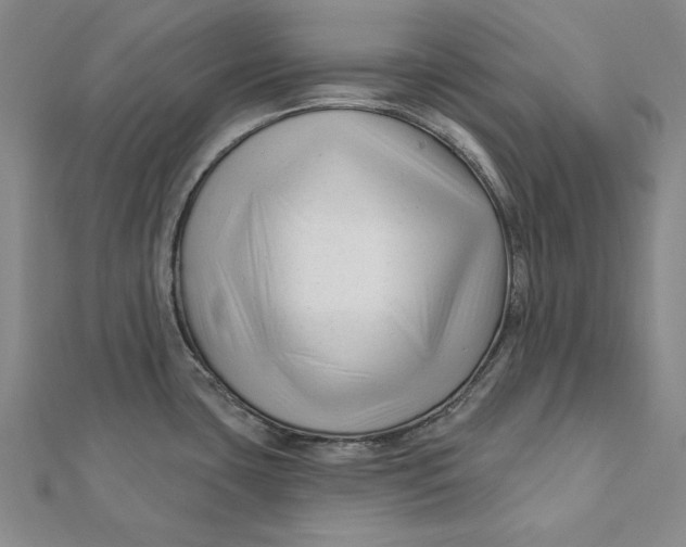 X0000112061435200908251011