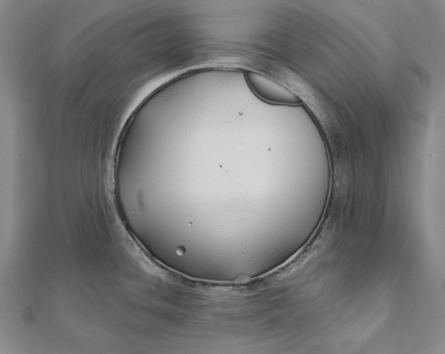 X0000112061436200908251011