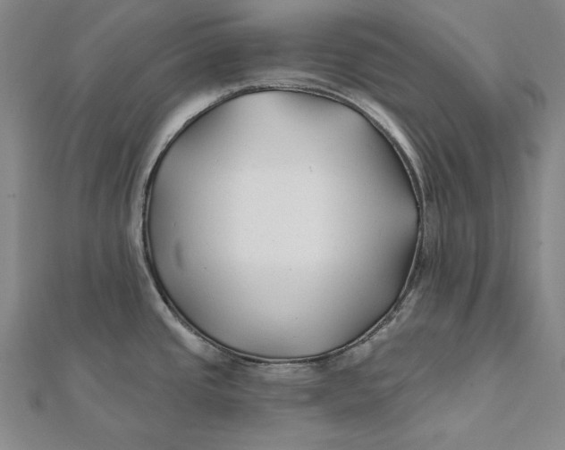 X0000112061437200908251011