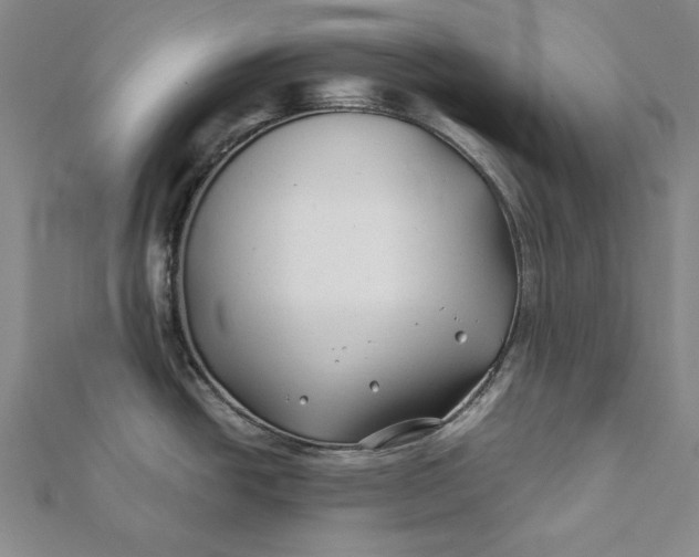 X0000112061438200908251011