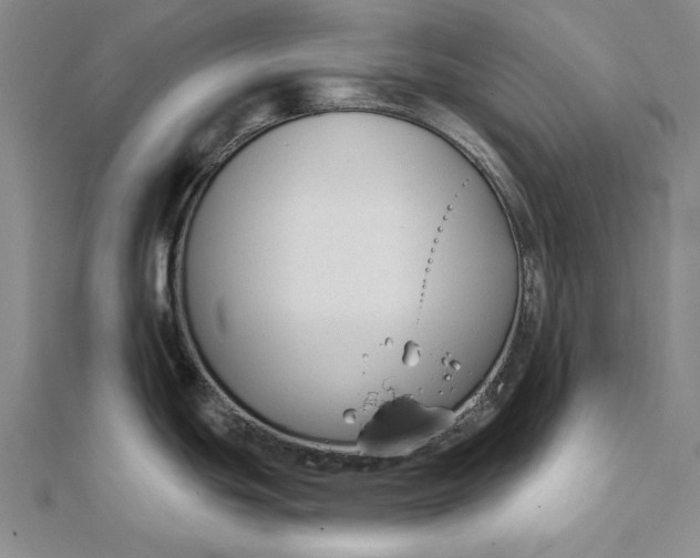 X0000112061439200908251011