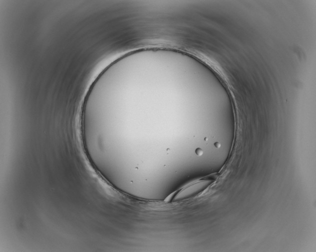 X0000112061440200908251011