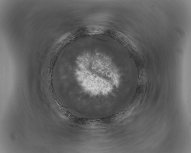 X0000112061441200908251010