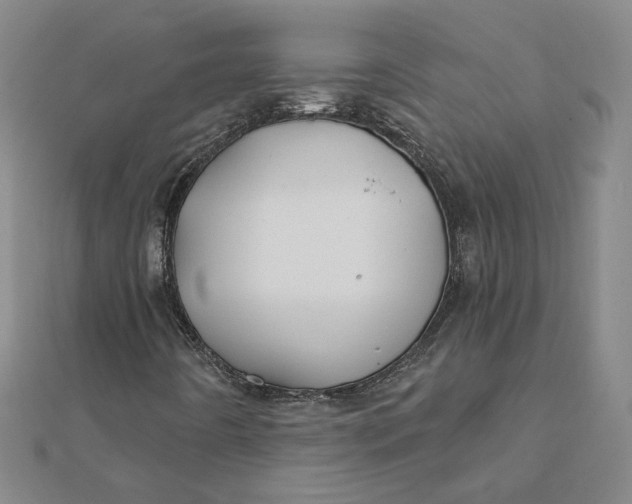 X0000112061442200908251010