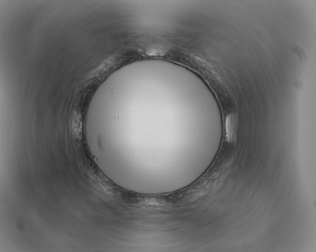 X0000112061443200908251010