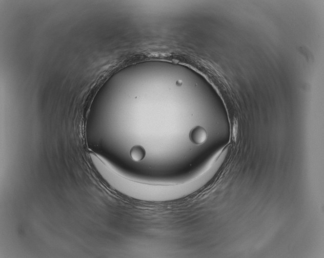 X0000112061444200908251010