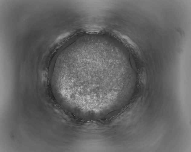 X0000112061445200908251010