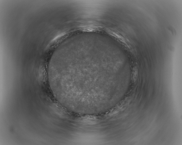 X0000112061446200908251010