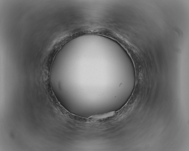 X0000112061447200908251010