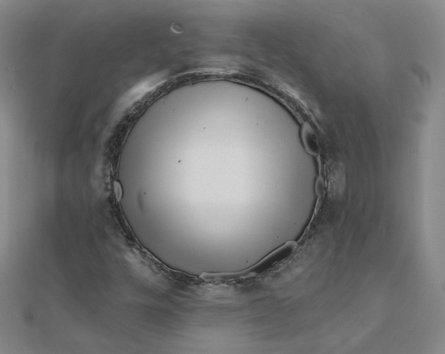 X0000112061448200908251010