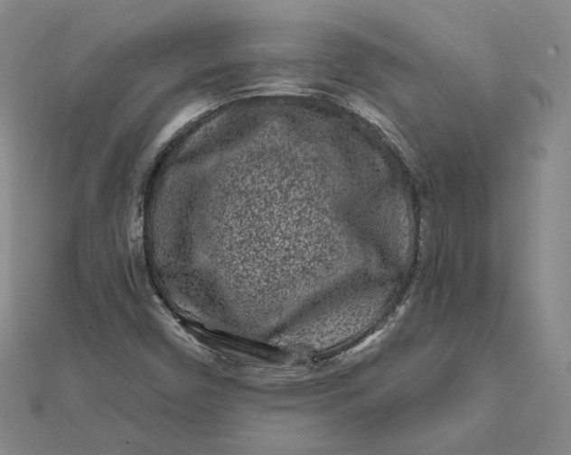 X0000112061450200908251010