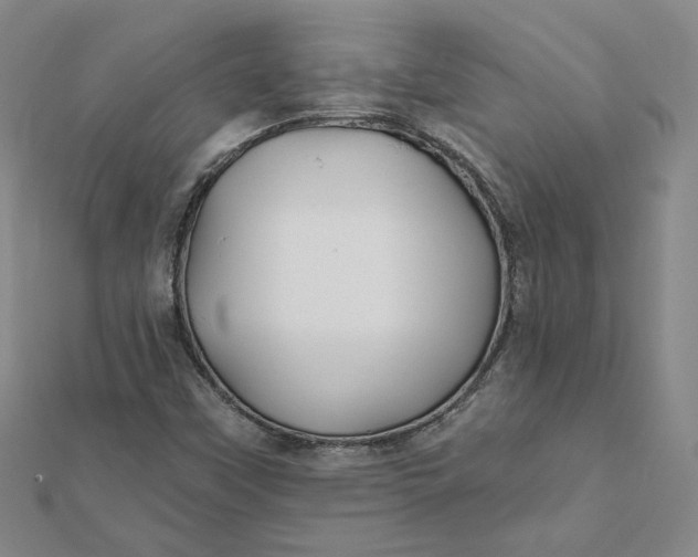 X0000112061451200908251010