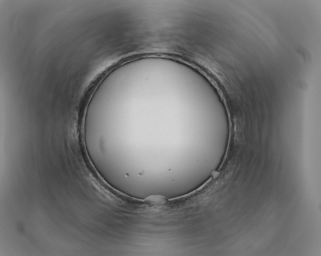 X0000112061452200908251010