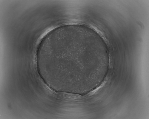 X0000112061453200908251010