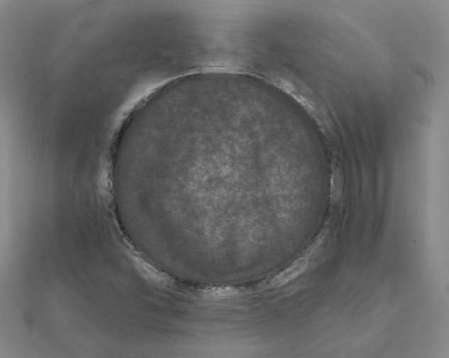 X0000112061454200908251010