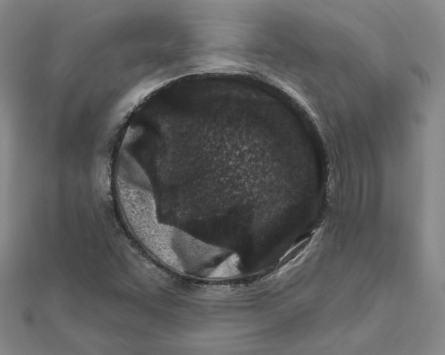 X0000112061455200908251010