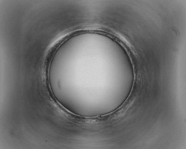 X0000112061456200908251010