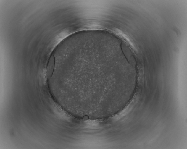 X0000112061457200908251010