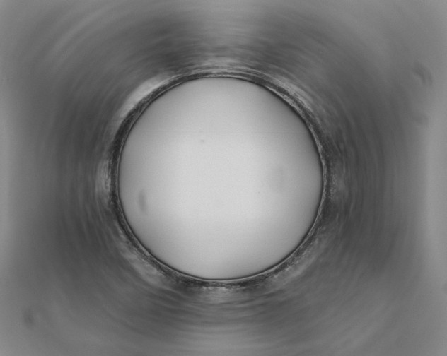 X0000112061458200908251010