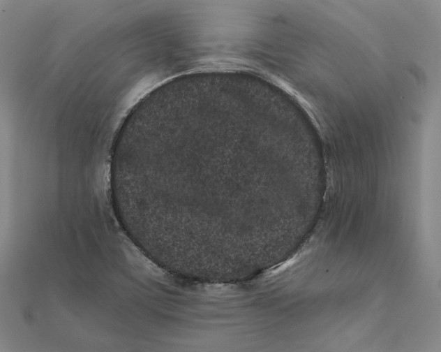 X0000112061459200908251010