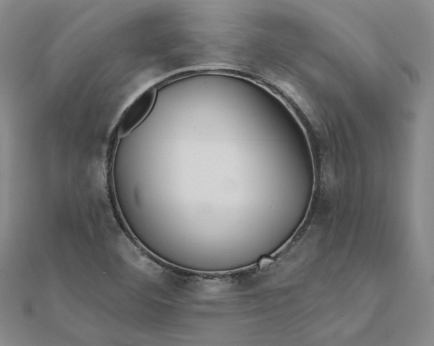 X0000112061460200908251010