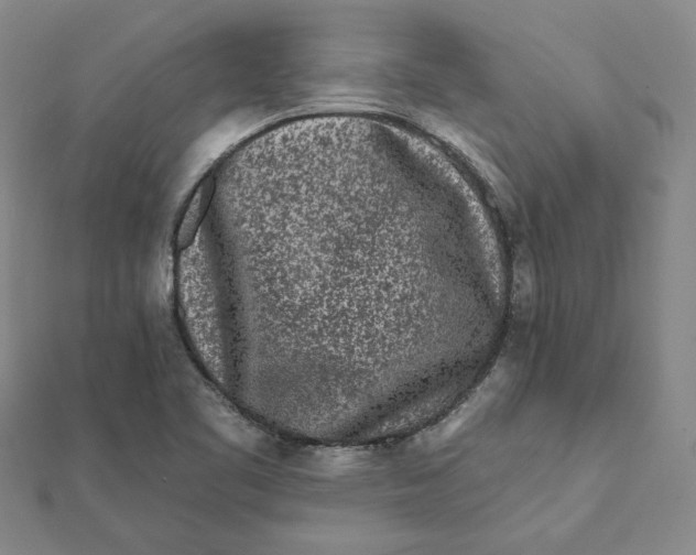 X0000112061461200908251010