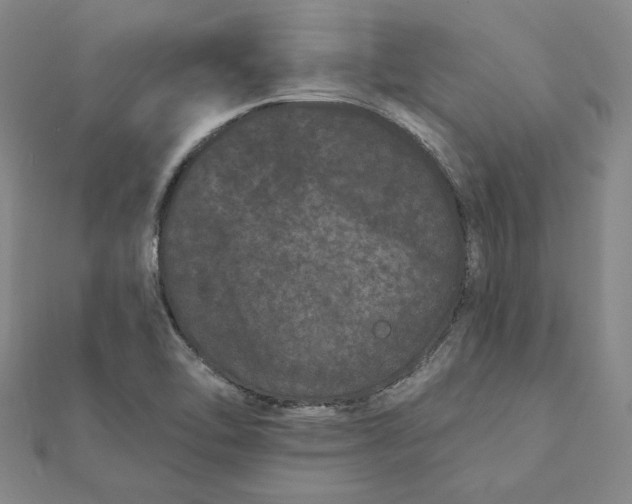 X0000112061462200908251010