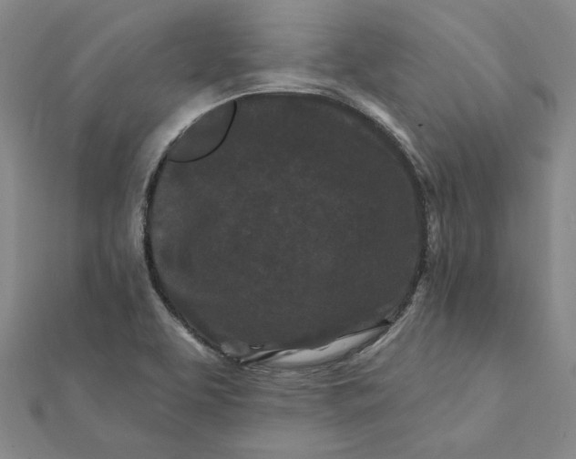 X0000112061463200908251010