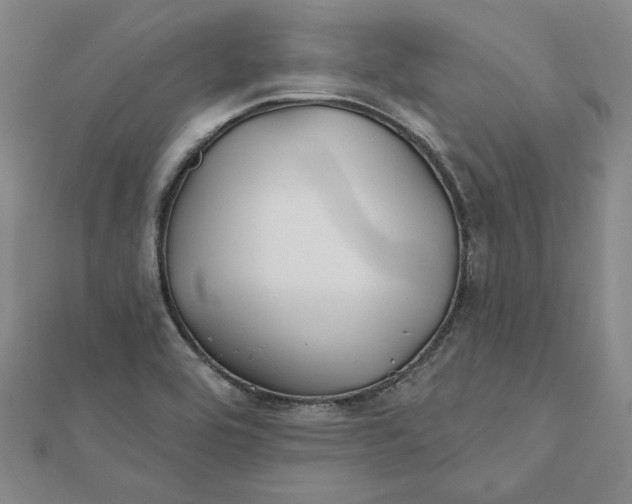 X0000112061464200908251010