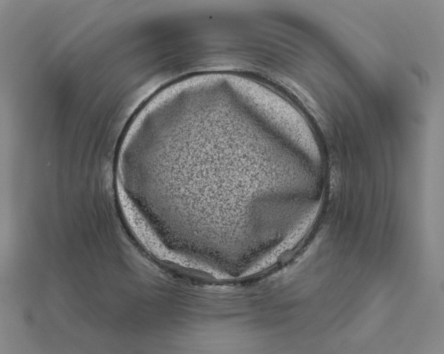 X0000112061465200908251010