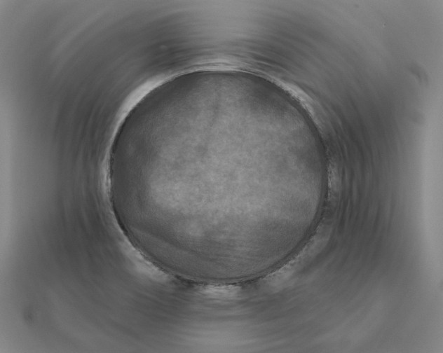 X0000112061466200908251010