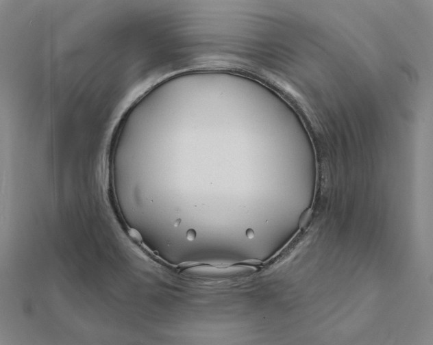 X0000112061467200908251010