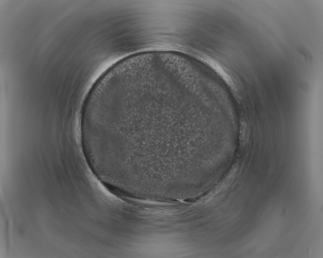 X0000112061468200908251010