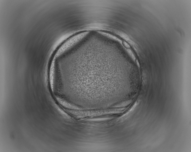 X0000112061469200908251010