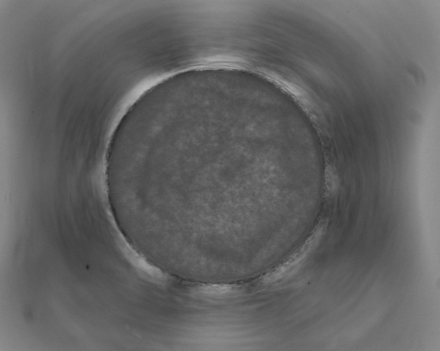 X0000112061470200908251010