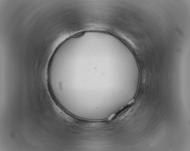 X0000112061471200908251009