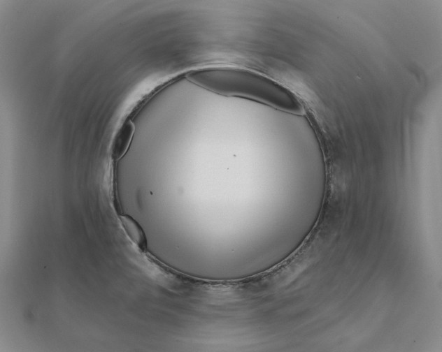 X0000112061472200908251009