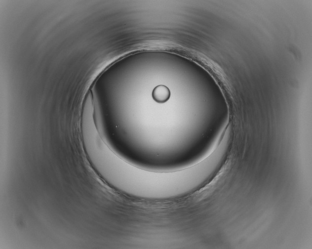 X0000112061473200908251009