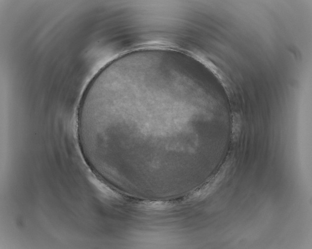 X0000112061474200908251009