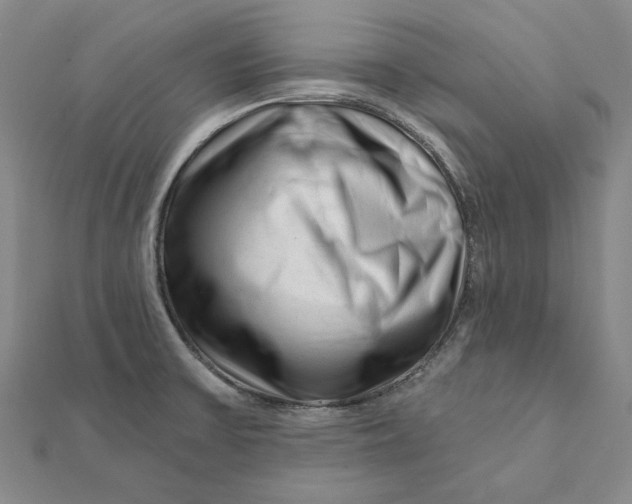 X0000112061475200908251009