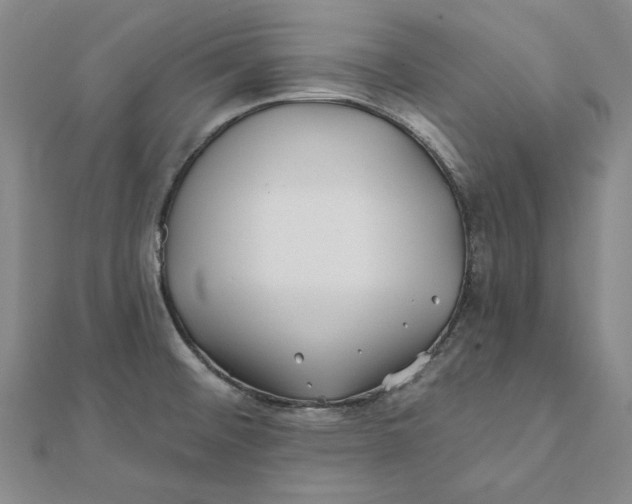 X0000112061476200908251009