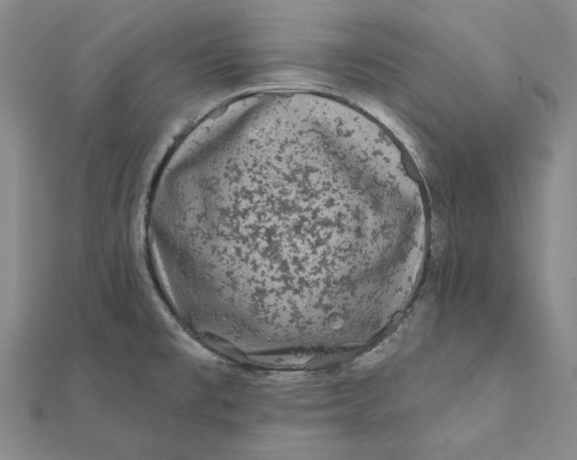 X0000112061477200908251009