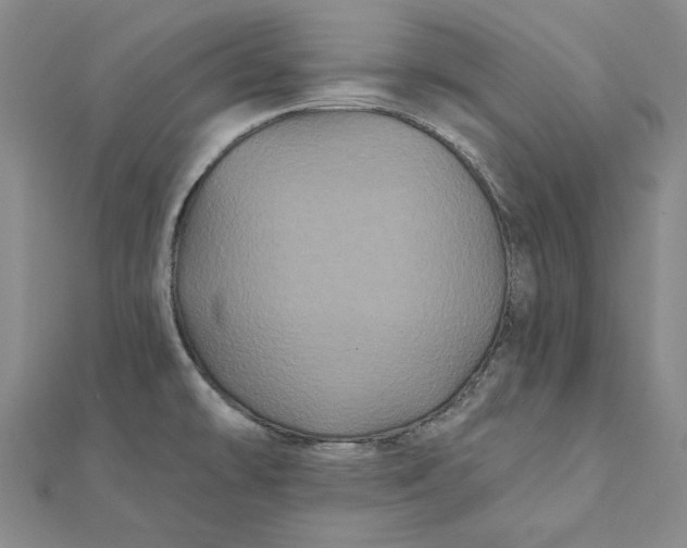 X0000112061478200908251009