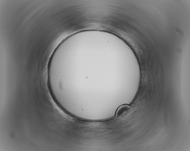 X0000112061479200908251009